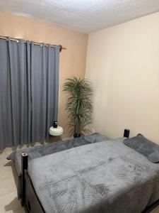 Departamento TanXime