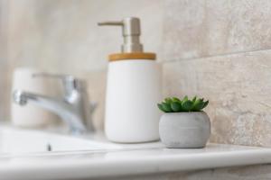 Marias comfort residence