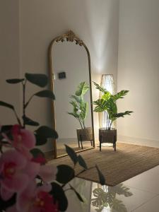 Boulevard Flat