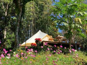 Hughome Valley ChiangDao