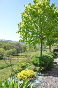 B&B / Chambres d'hotes La Bergerie : photos des chambres