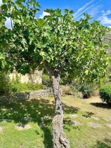 Maisons de vacances Villa Helene in the heart of the center of Fontaine de Vaucluse : photos des chambres