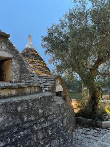 TrullOzio Apartment with Private Jacuzzi & B&B Rooms with Pool