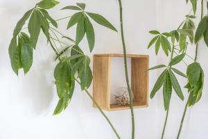 Maisons de vacances La tranquilite bleue - Maison avec Parking cloture : photos des chambres