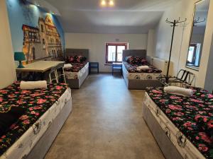 Roller Hostel