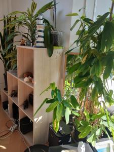 Sejours chez l'habitant Paris-Creteil Soleil : photos des chambres