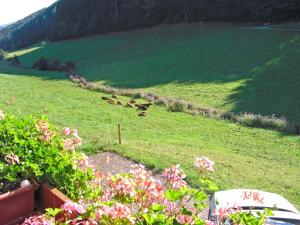 Comfortable holiday home in a beautiful location