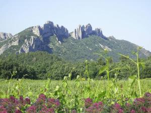 Maisons de vacances Lovely Cottage in Valreas with Swimming Pool : photos des chambres