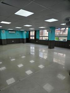 The Royal Palace, Patliputra