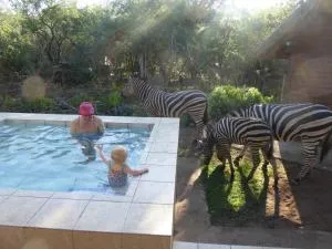 Kruger Cottage - Коматіпурт