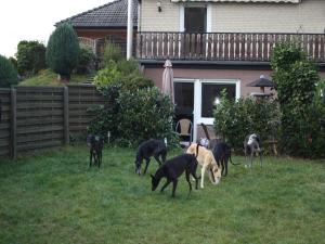 Garden-view Apartment in Heringhausen Lake City Centre