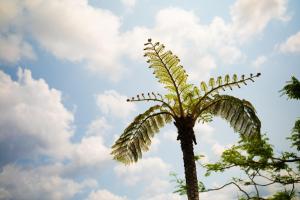 Dei Amami - Vacation STAY 28894v