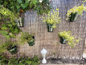 XXVII- Finca La Cantara - La Cantara Verde