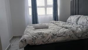 Winde Cozy Apartment Ruiru-Membley