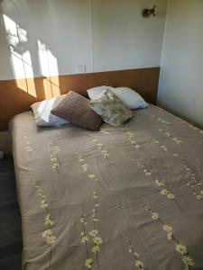 Mobilhome vue sur la lande