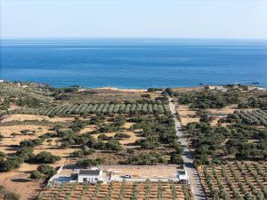 Pelagria Villa, a 4000 sq meters Escape with Beach Access, By ThinkVilla