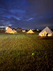 New Generation Camp