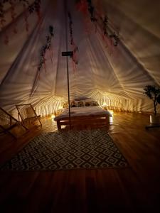 New Generation Camp