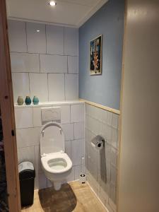 Tinyhouse centrum Drachten