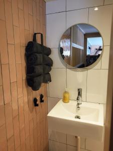 Tinyhouse centrum Drachten