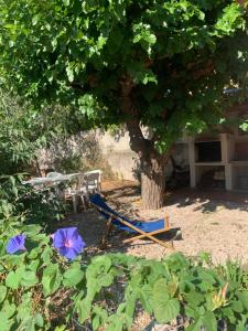 Maisons de vacances Location ideale en famille : photos des chambres