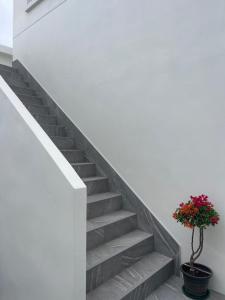 White house poolvilla บ้านพักพูลวิลล่า ชุมพร Pp2