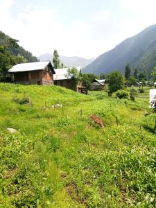 HomeStay Just a Minute Away From Hari Parbat