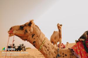 Treebo Desert Harmony Camp