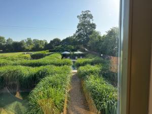 Maisons de vacances Chaleureuse ferme restauree au calme avec piscine : photos des chambres