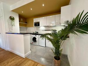 Appartements Appartement T2 Mediterraneen : photos des chambres