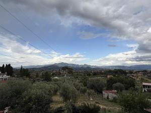 La casa tra gli ulivi di Fonte Nuova