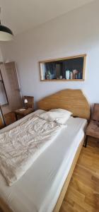 Penthouse Traumblick Bečići