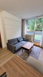 Very Nice Appartment for 4, Marilleva 900, Val di Sole