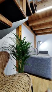 Disìu Apartment con Jacuzzi in centro a Castellammare del Golfo