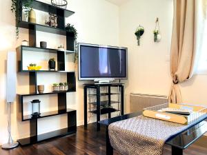 Appartements Bel appartement au pied du Tram : photos des chambres