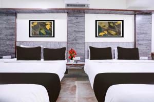 Collection O Lingmala Waterfall Point