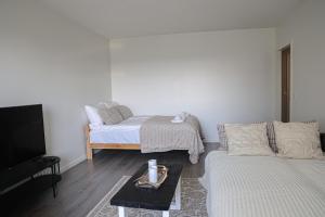 Arctic Glow Apartment By BookLapland