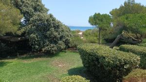 Studio Cabine front de mer Presqu île de Giens