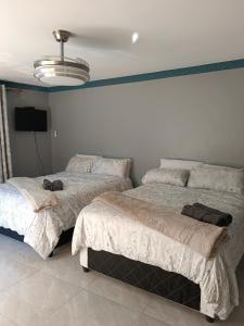 Crompton Studio Apartment 786