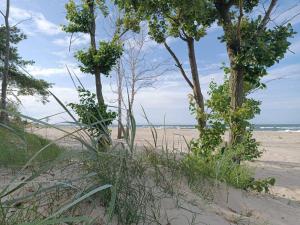 SUNNY PLACE - FUNNY PLACE, Apartament ze słonecznym ogródkiem na Wyspie Sobieszewskiej - BALTIC LINE