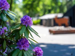 Holiday Home Douglas by Interhome