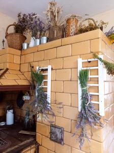 Siedlisko pod starą lipą