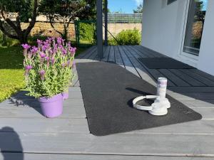 Tiny house with sauna in Laulasmaa