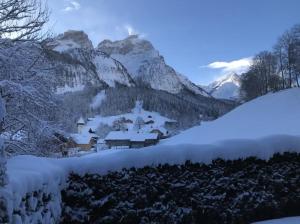 Cozy One Bedroom Flat In Gsteig