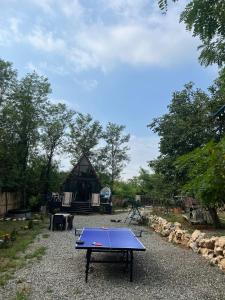 Cottage Tetra Kutaisi Tskaltubo