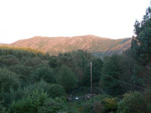 Forest How Guest House