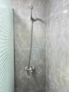 شاليه فندقى غرفتين وريسيبشن بورتوسعيد porto said الحجز أسر فقط