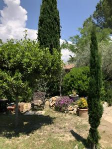 Maisons de vacances Oasi Des Mirabelles - Gite : photos des chambres