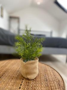 Appartements Capstay Cassel : photos des chambres