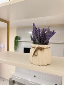 Loft luxe 104 - próximo de comércios